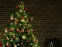 von Thomas  IMG 4114