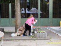 von Thomas  IMG 7302